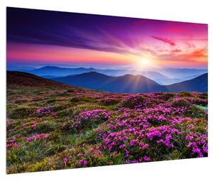 Obraz horské rozkvetlé krajiny (90x60 cm)