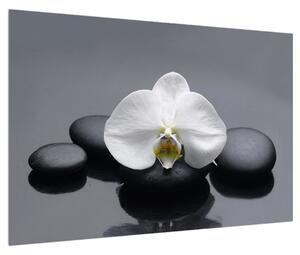 Obraz orchideje (90x60 cm)