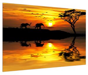 Obraz africké krajiny se slonem (90x60 cm)