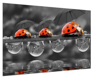 Obraz slunéček sedmitečných s deštníky (90x60 cm)