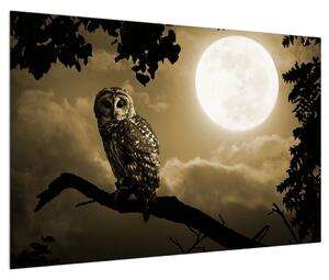 Obraz noční sovy (90x60 cm)