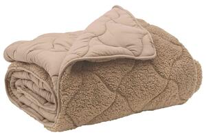Letní přikrývka Taupe 200 x 240 cm Mikrovlákno a teddy fleece