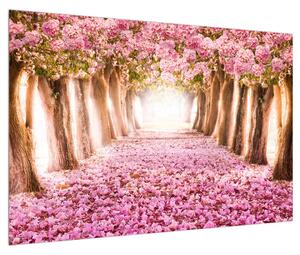 Obraz květinového chodníku (90x60 cm)