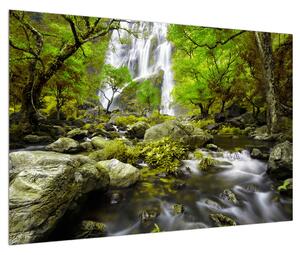 Obraz lesní krajiny s potokem (90x60 cm)
