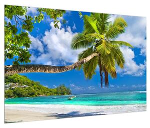 Obraz palmy a pláže (90x60 cm)