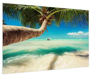 Obraz čistého moře s palmou (90x60 cm)