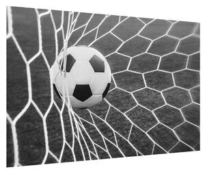 Fotbalový míč v síti (90x60 cm)