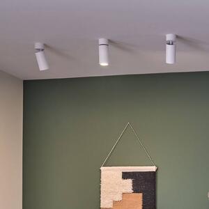 Paulmann LED stropní svítidlo Turnal Coin, bílá, kov, 2 700 K, stmívatelný, Bílá / opál, Obývací pokoj / jídelna, kov, Moderní, Podhledové stropní svítidlo
