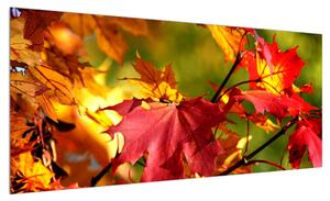Obraz podzimních listů (100x40 cm)