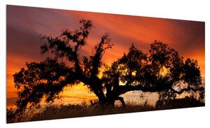 Romantický obraz stromu (100x40 cm)