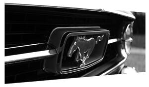 Detailní obraz automobilu značky Mustang (100x40 cm)