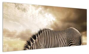 Obraz zebry (100x40 cm)