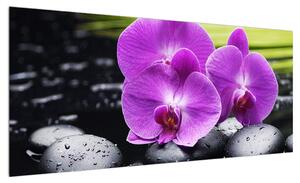 Obraz orchidejí (100x40 cm)