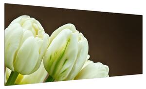 Obraz tulipánů (100x40 cm)