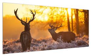 Obraz jelenů (100x40 cm)