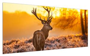Obraz jelena (100x40 cm)