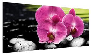 Obraz květů orchideje (100x40 cm)