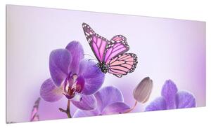 Obraz motýla na květech orchideje (100x40 cm)