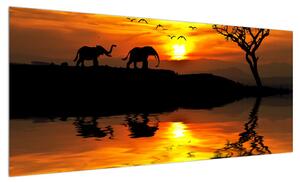 Obraz africké krajiny se slonem (100x40 cm)