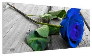 Obraz modré růže (100x40 cm)