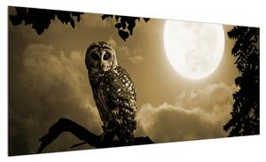 Obraz noční sovy (100x40 cm)