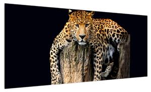 Obraz geparda (100x40 cm)
