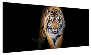 Obraz tygra (100x40 cm)