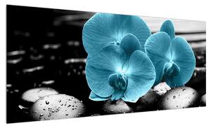 Obraz modrých květů orchideje (100x40 cm)
