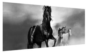 Obraz koně (100x40 cm)