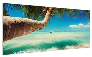 Obraz čistého moře s palmou (100x40 cm)