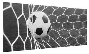 Fotbalový míč v síti (100x40 cm)