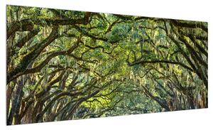 Obraz stromové aleje (100x40 cm)