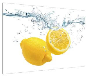 Obraz citrónů (100x70 cm)