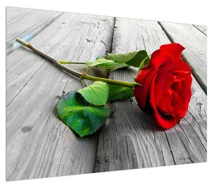 Obraz červené růže (100x70 cm)