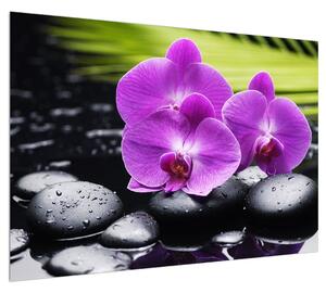 Obraz orchidejí (100x70 cm)