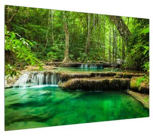 Obraz průzračného lesního toku (100x70 cm)