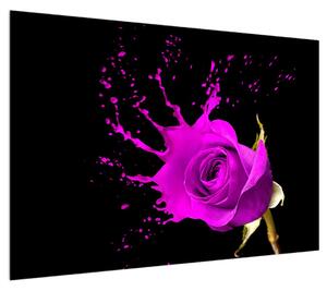 Obraz fialové růže (100x70 cm)