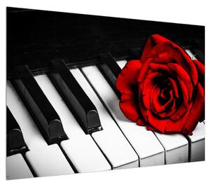Obraz růže a klavíru (100x70 cm)