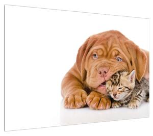 Obraz psa s kotětem (100x70 cm)