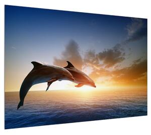 Obraz delfínů (100x70 cm)