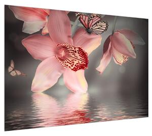 Obraz květů a motýla (100x70 cm)