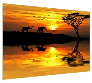 Obraz africké krajiny se slonem (100x70 cm)