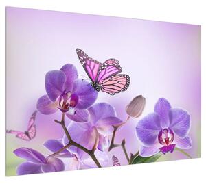Obraz motýla na květech orchideje (100x70 cm)