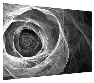 Černobílý obraz abstraktní růže (100x70 cm)