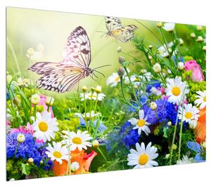Obraz letních květů s motýlem (100x70 cm)