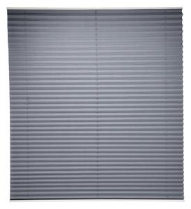 Livarno® Plisovaná roleta, 60 x 130 cm (šedá) (100408794002)