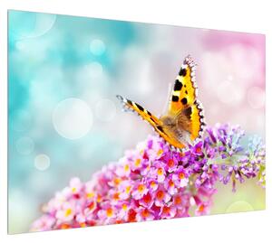 Obraz motýla na květech (100x70 cm)