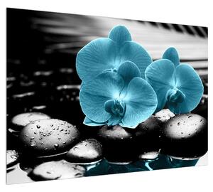 Obraz modrých květů orchideje (100x70 cm)