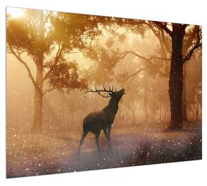 Obraz jelena v říji (100x70 cm)