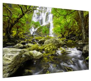Obraz lesní krajiny s potokem (100x70 cm)